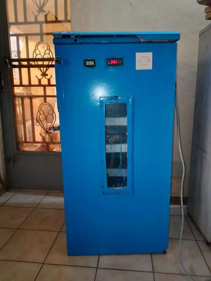 Couveuse semi automatique à vendre (image 2)