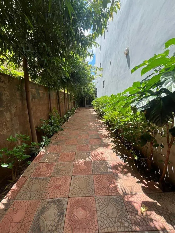 Duplex à louer (image 4)