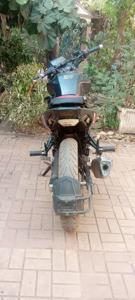 Moto GS cycle (image 4)