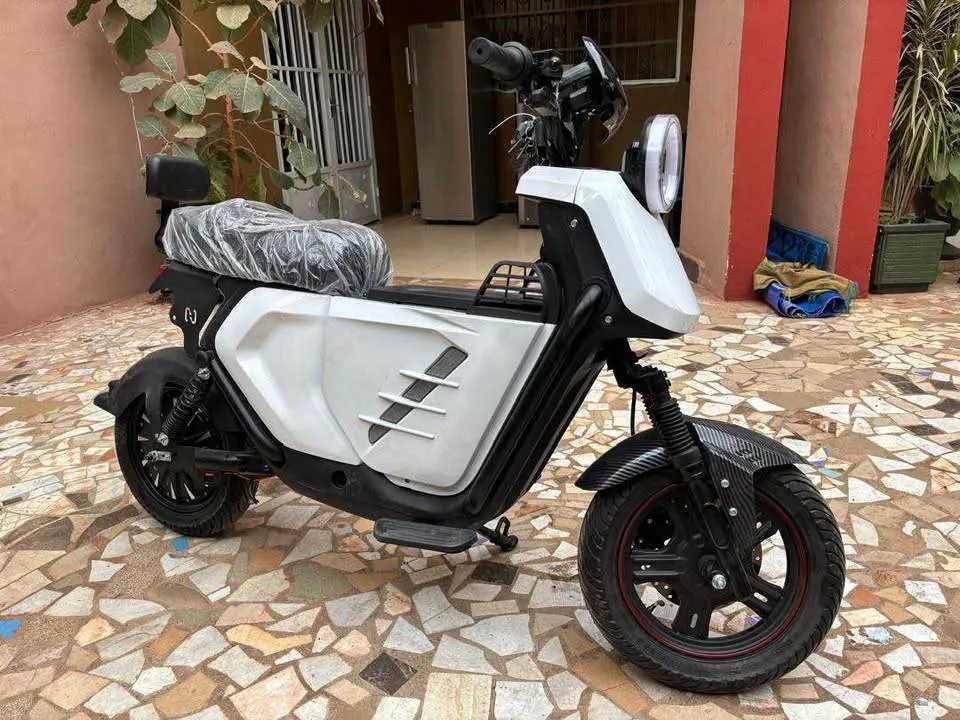 Moto électrique (image 4)
