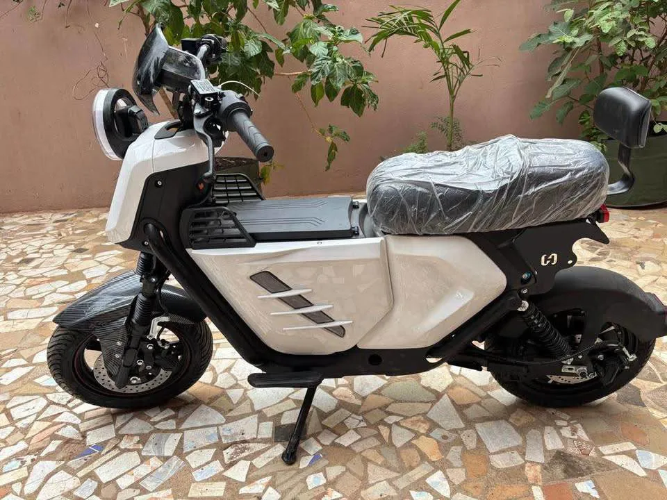 Moto électrique (image 3)