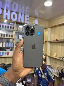 iPhone 13Pro Max 256Gb