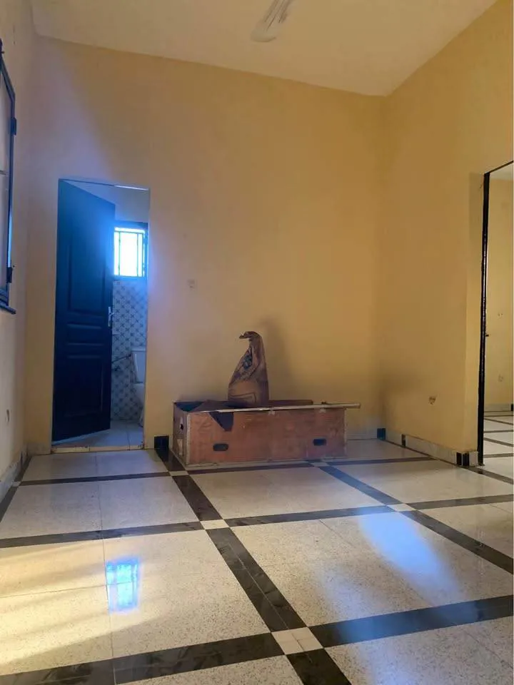 Appartement à louer ( bureau ou commercial) (image 7)