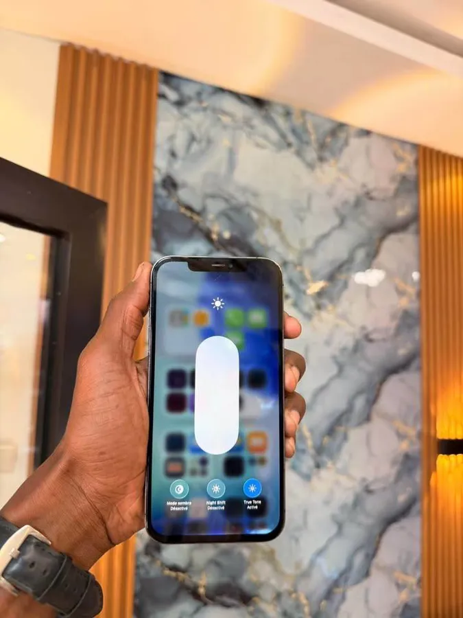 IPHONE 12PRO MAX (image 3)