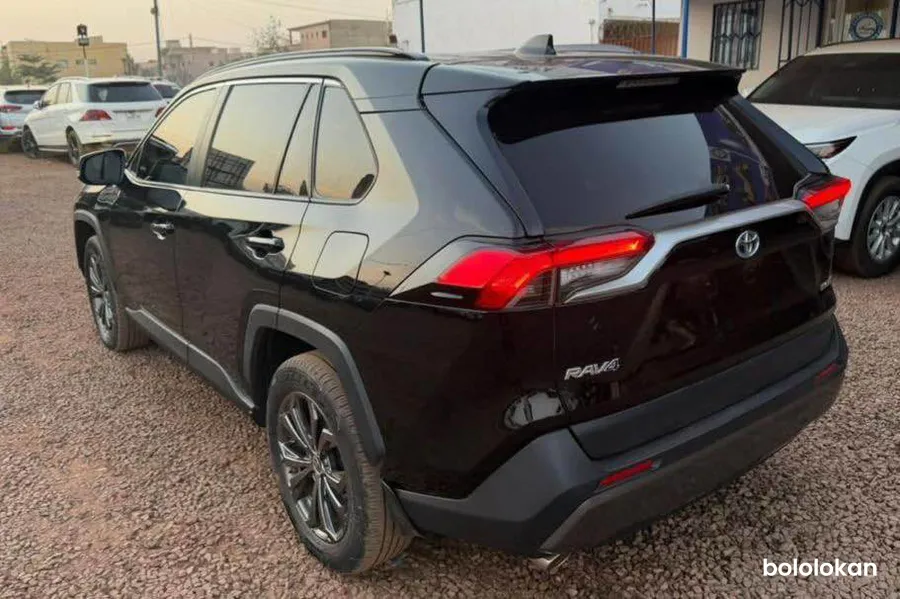 Toyota RAV4 année 2022 (image 3)