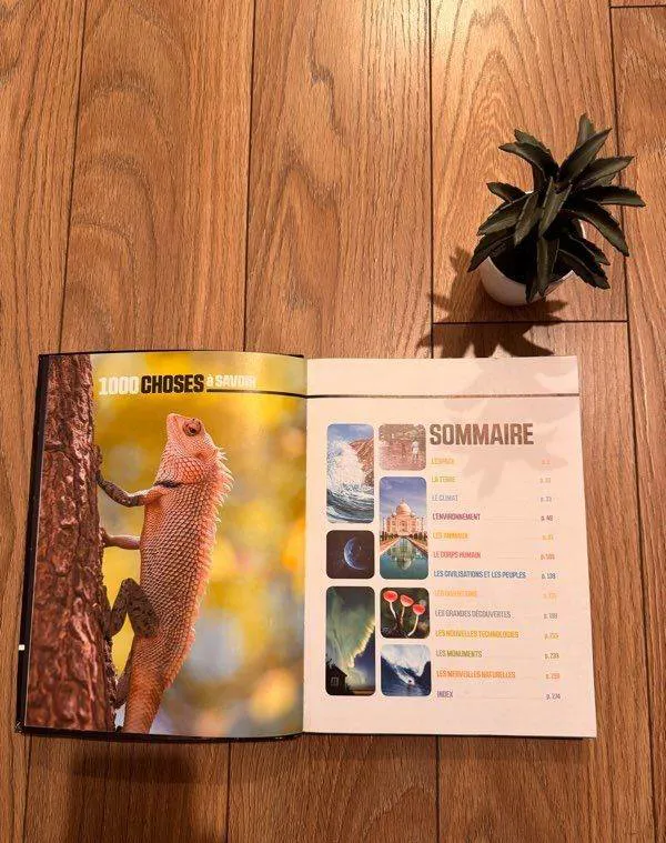 1000 Choses à savoir (image 2)
